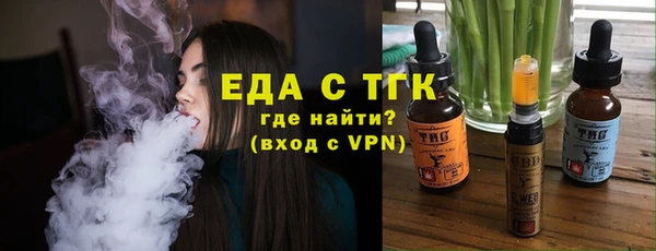хмурый Арсеньев