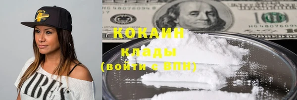 шишки Армянск