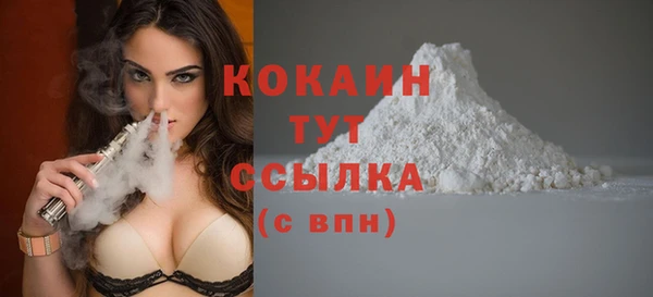 шишки Армянск
