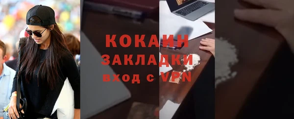 хмурый Арсеньев