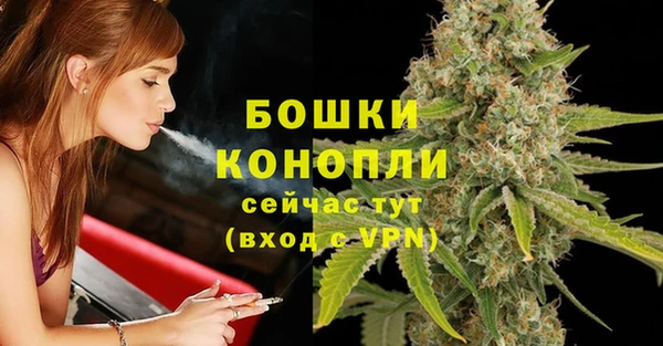шишки Армянск