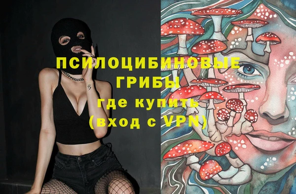 шишки Армянск