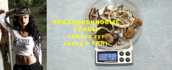 хмурый Арсеньев