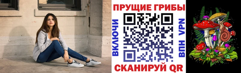 купить наркотик  МЕГА зеркало  Псилоцибиновые грибы MAGIC MUSHROOMS  Сергач 